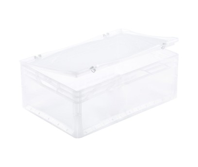 182720793746168_0092 TRANSLUCENT